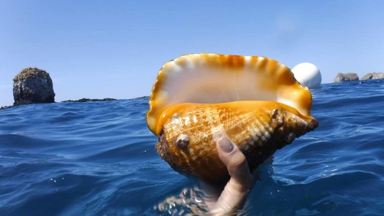 Plumita Pacifica Lägenhet Playa Junquillal Exteriör bild