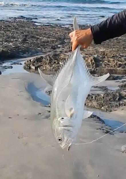 Plumita Pacifica Lägenhet Playa Junquillal Exteriör bild