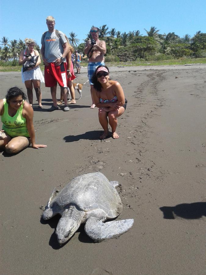 Plumita Pacifica Lägenhet Playa Junquillal Exteriör bild