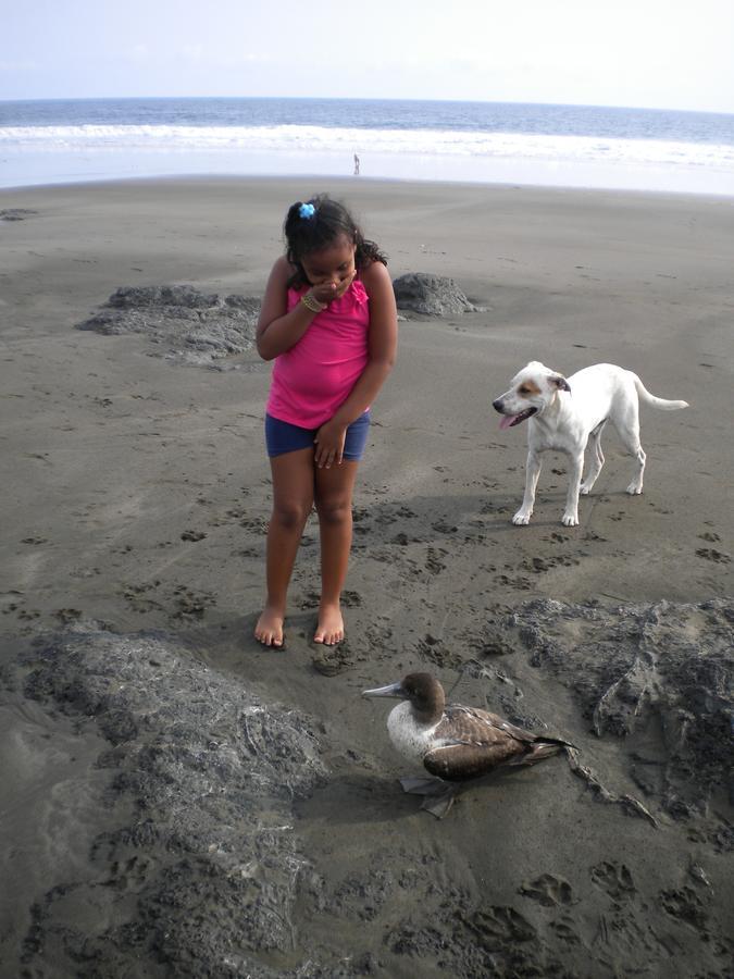 Plumita Pacifica Lägenhet Playa Junquillal Exteriör bild