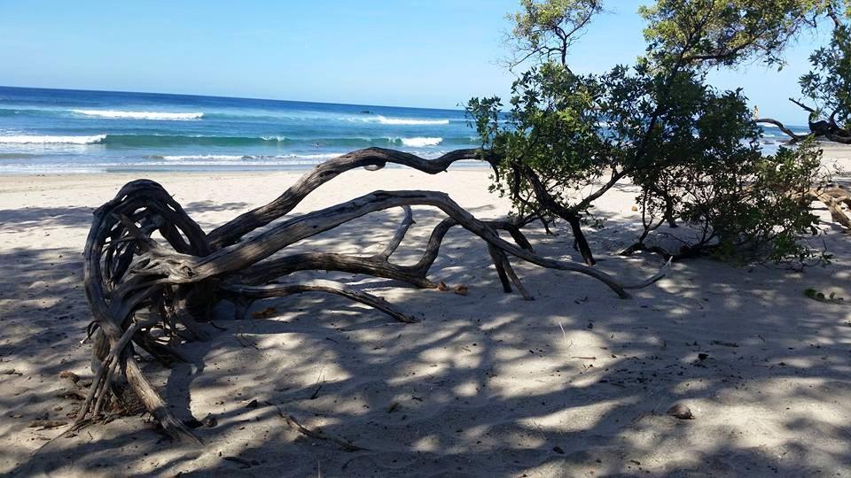 Plumita Pacifica Lägenhet Playa Junquillal Exteriör bild